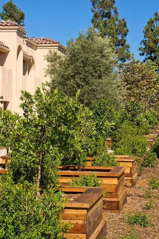 Orange Garden Apartments – Poway, CA – photo 5